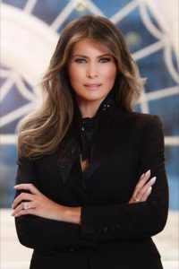 First Lady Malania Trump's official portrait has caused a bit of a stir.
